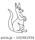 Kangaroo cartoon vector illustration 102981938