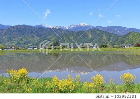 安曇野の5月　田園と北アルプス 102982381