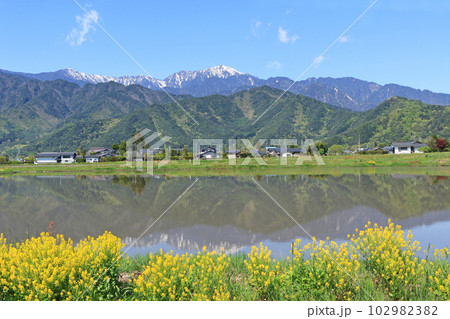 安曇野の5月　田園と北アルプス 102982382