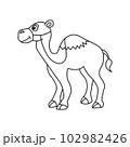 Cute camel cartoon illustration vector, for kids coloring book. 102982426