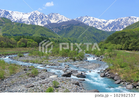 信州白馬の5月　新緑と残雪の白馬三山 102982537