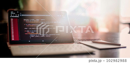 Programmer working on computer code, developer of software applications and IT 102982988