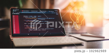 Programmer working on computer code, developer of software applications and IT 102982989