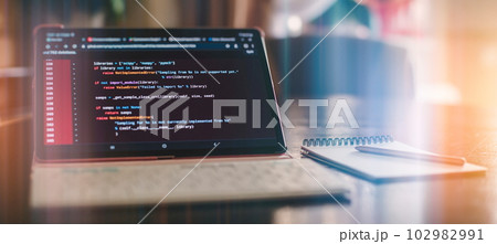 Programmer working on computer code, developer of software applications and IT 102982991