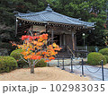 秋の花山院薬師堂 102983035