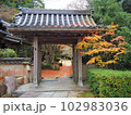 秋の花山院 102983036