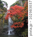 紅葉の箕面大滝 102983037