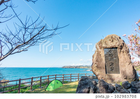 三崎公園キャンプ場　小砂川海岸 102983708