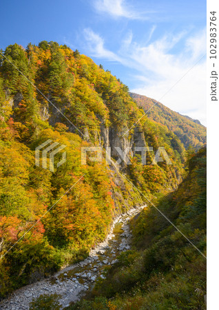 紅葉の白山白川郷ホワイトロード 紅葉の白山白川郷ホワイトロード 102983764