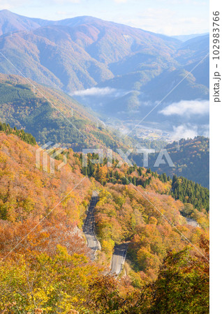 紅葉の白山白川郷ホワイトロード 紅葉の白山白川郷ホワイトロード 102983766
