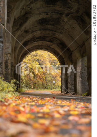 古いトンネルと紅葉 102983782