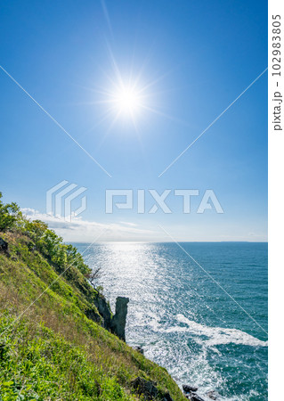 三崎公園 観音崎 三崎公園 観音崎 102983805