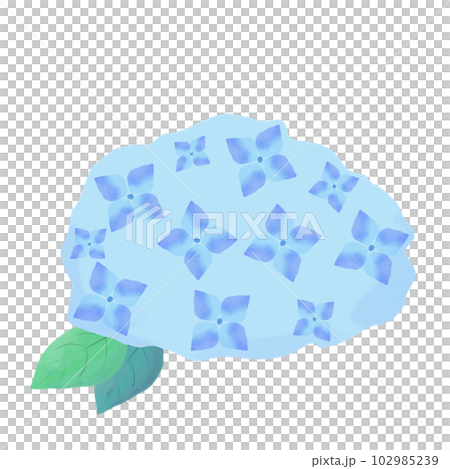 Watercolor style blue hydrangea icon Watercolor style blue hydrangea icon 102985239