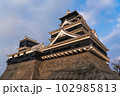 熊本県 熊本城天守閣 熊本県 熊本城天守閣 102985813