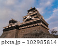 熊本県 熊本城天守閣 熊本県 熊本城天守閣 102985814