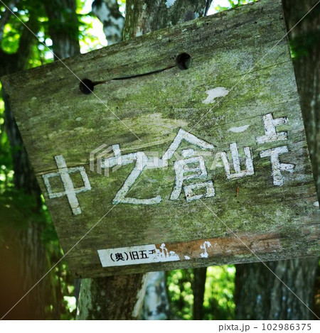 パノラマ台　中之倉峠 102986375
