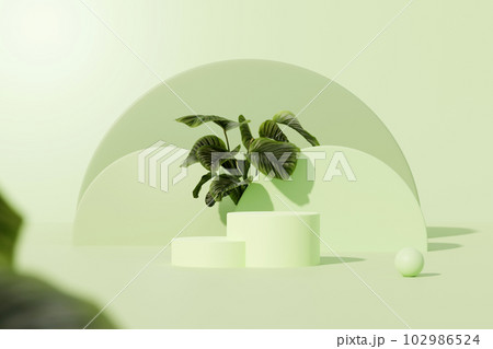 Minimal abstract background with two cylinder podiums, small ball and green leaves decorated on pastel green background. Space for display product. 3d rendering, illustration. Minimal abstract background with two cylinder podiums, small ball and green leaves decorated on pastel green background. Space for display product. 3d rendering, illustration. 102986524