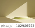 Cylinder abstract minimal scene with geometric platform on wall background with light streaks from the window. Space to show cosmetic products. 3d rendering 102986553