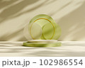 Stage showcase on pedestal modern 3d studio, stacked of two round podiums and round pastel objects on wall background and shadow of natural leaves. Space to show your products or design.  102986554