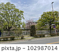 川のそばの遊歩道 102987014