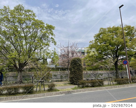 川のそばの遊歩道 川のそばの遊歩道 102987014