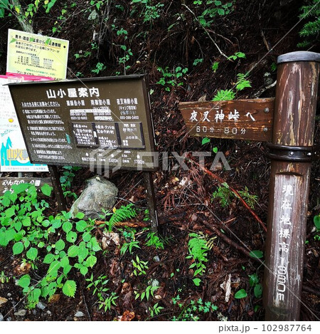 夜叉神峠　登山口 102987764