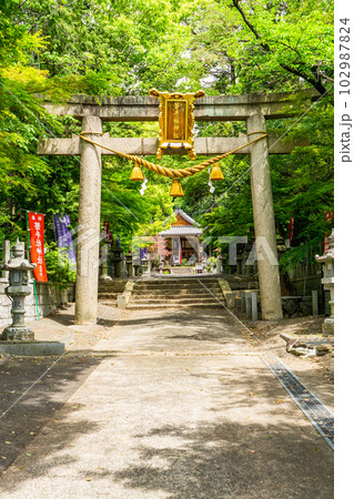 大阪府高槻市の磐手杜神社　鳥居 102987824