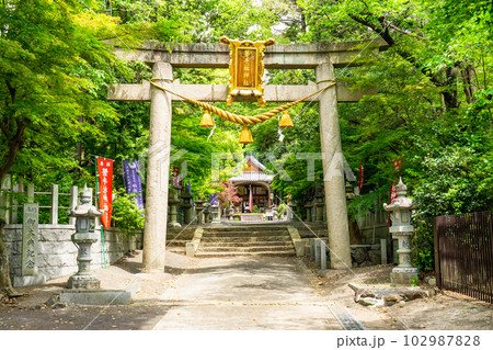 大阪府高槻市の磐手杜神社　明神鳥居 102987828