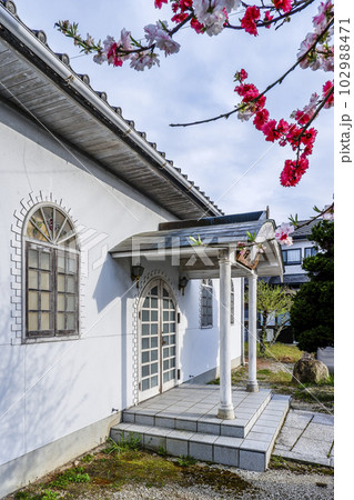 花桃の枝花を見る日本大正村絵画館入り口風景 102988471