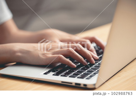 Connect online business using laptop. or Sitting work at cafe. Connect online business using laptop. or Sitting work at cafe. 102988763