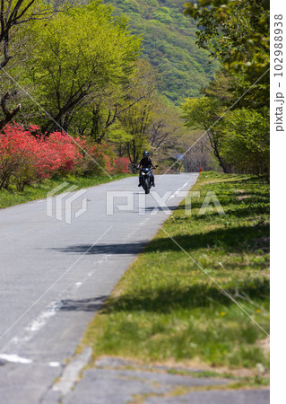 初夏の榛名山　レンゲツツジ咲く湖畔に続く高原道路 102988938