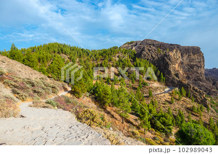beautiful landscape of the volcanic island of gran canaria 102989043