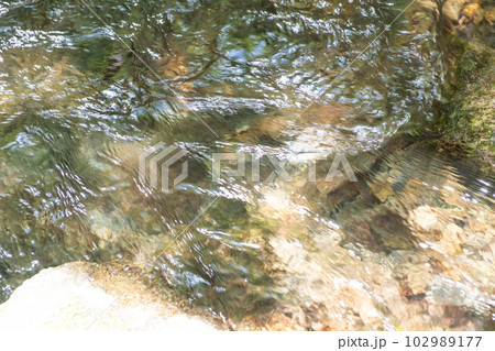 渓流のイメージ 渓流のイメージ 102989177