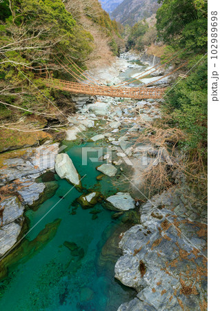 徳島_架替工事中の祖谷のかずら橋 102989698