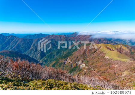 次郎笈から見た雲海と四国山地の山並みと剣山スーパー林道1　徳島県三好市 102989972