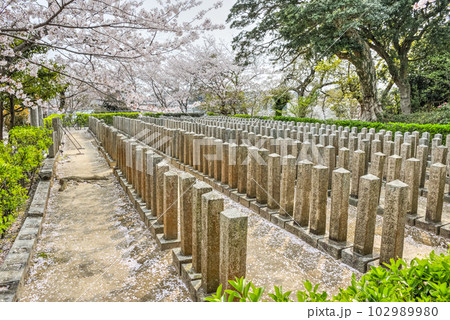 桜山神社（桜山招魂場） 102989980