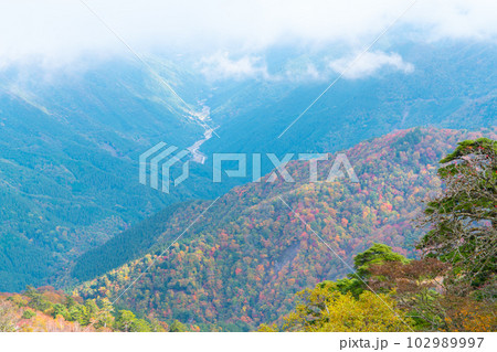 【日本百名山】剣山の登山道から見た雲海の山並みと紅葉の木屋平の谷2　徳島県美馬市 102989997