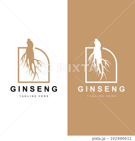 Ginseng Logo, Herbal Plant Vector, Natural Herbal Medicine, Ginseng Herbal Drink Icon 102990612