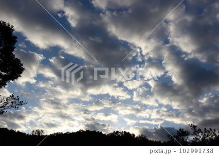 朝の積雲(綿雲) 朝の積雲(綿雲) 102991738