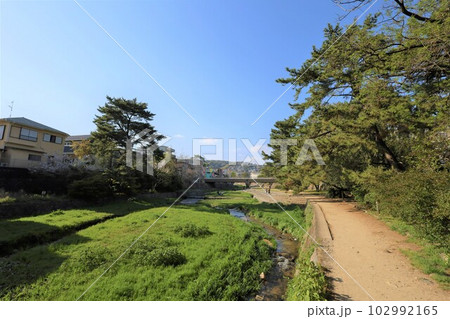 春の西宮散歩(兵庫県)甲陽園~夙川 春の西宮散歩(兵庫県)甲陽園~夙川 102992165
