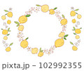 レモンの飾り枠 102992355