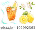 レモンティーとレモンとレモンの花のイラスト 102992363