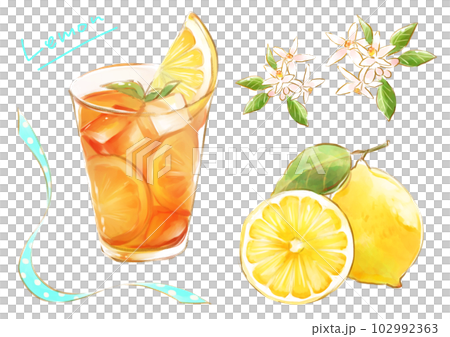 檸檬茶加檸檬和檸檬花的插圖 102992363