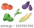 夏野菜いろいろイラスト 102992366