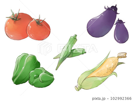 夏野菜いろいろイラスト 102992366