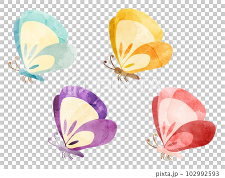 カラフルな蝶のイラストのセット　水彩風加工バージョン 102992593