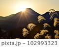 富士山の日の出とススキ 102993323