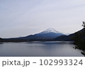 富士山と湖 102993324