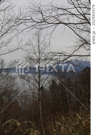 春の北海道 支笏湖 ミラーレイクのその景色 春の北海道 支笏湖 ミラーレイクのその景色 102993479