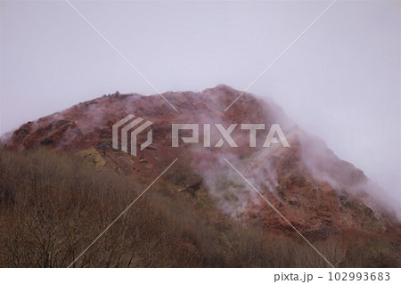 早春の北海道　有珠山と昭和新山をめぐる旅 102993683